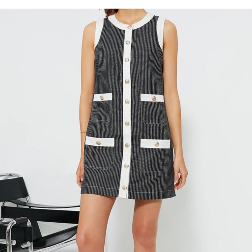 Tuckernuck Black and White Pinstripe Sleeveless Mini Dress